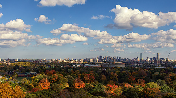 Boston from Mt Auburn cemetery