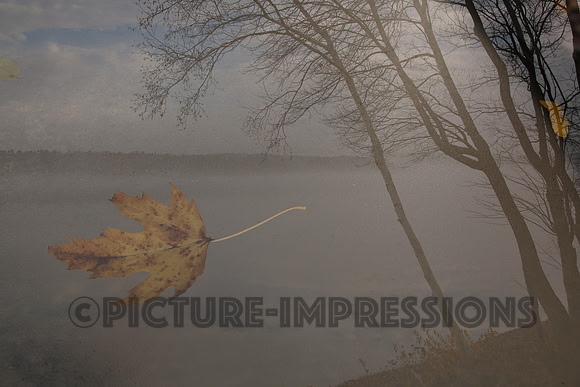 Floating leaf