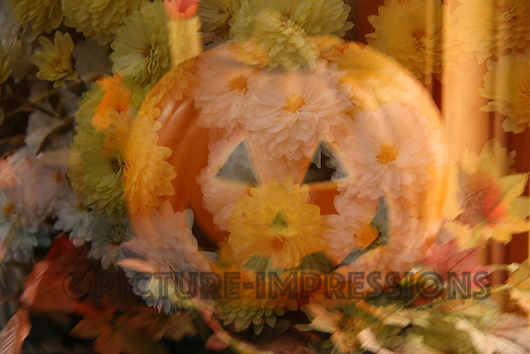 Pumpkin facial fun