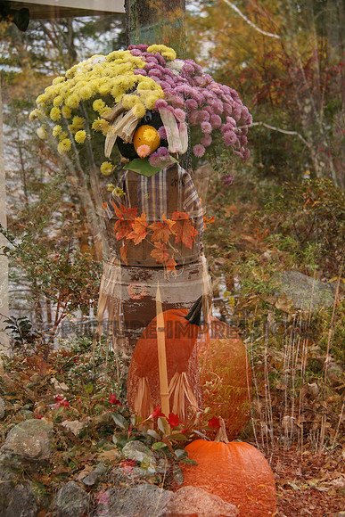 Fall floral overlay