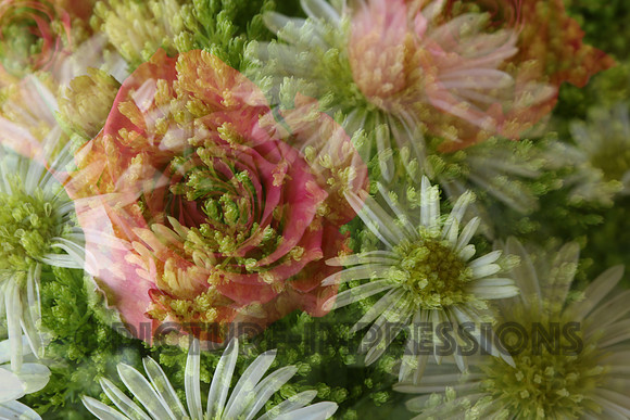 Floral collage