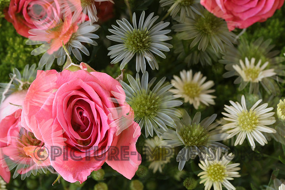 Floral collage