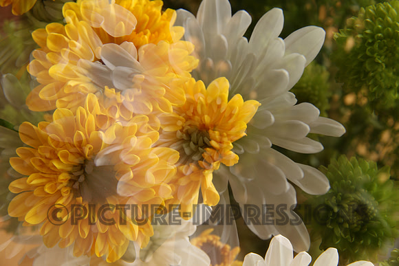 Floral collage