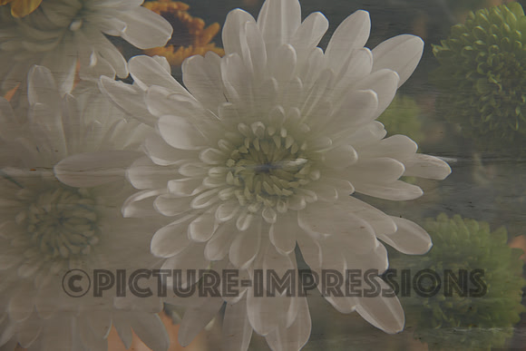 Floral collage