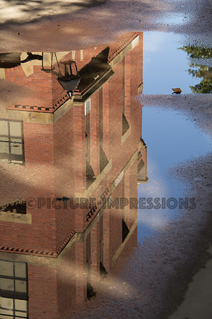 Harvard reflection