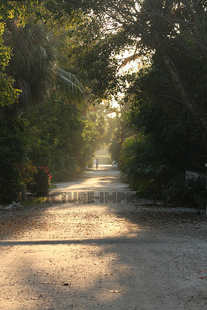 Captiva pathway to ocean