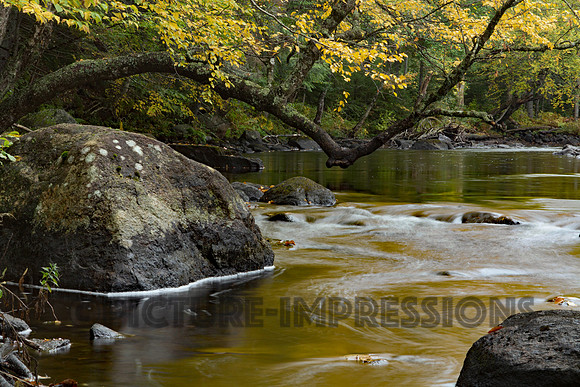 Adirondack cascade, Upstate NY