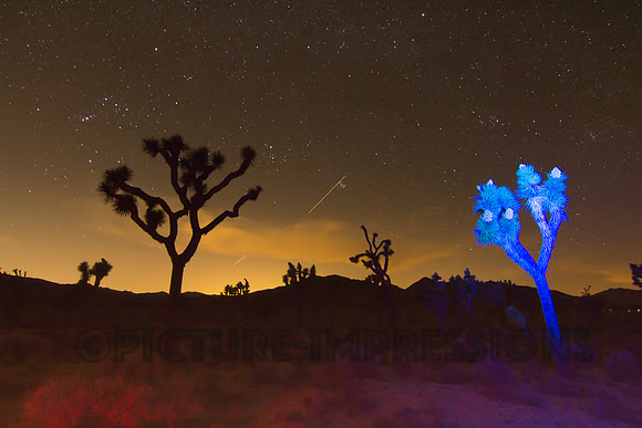 Joshua Tree Natl Park light painting, in CA