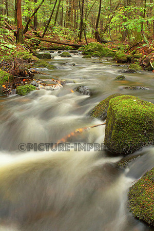 The Basin cascade in NH's White Mountains